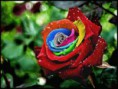 /album/egyebek/images-12-jpg1/